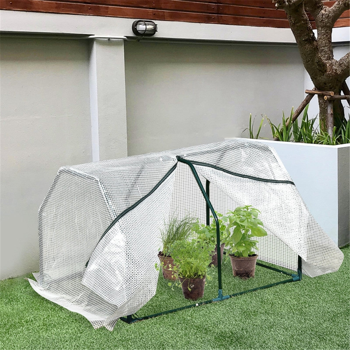 Mini Walk-in Greenhouse
